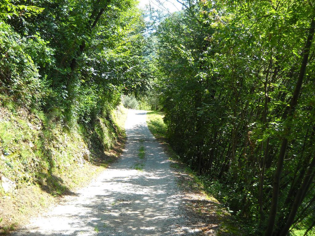 Agriturismo Cascina Lert Marone Esterno foto